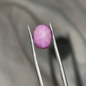 Peut inclure: Une pierre précieuse rose polie, de forme ovale, avec un effet d'étoile. La gemme est tenue par une pince argentée sur un fond neutre. Le motif en étoile est visible sur la surface de la pierre.