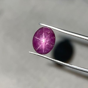 May include: A polished, oval-shaped, purplish-red gemstone, held by tweezers. The gem features a six-rayed star effect, a result of light reflecting off inclusions within the stone. The gem is a star ruby, a type of corundum.