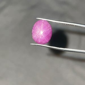 Könnte beinhalten: Ein rosa Sternrubin-Edelstein, der von einer Pinzette gehalten wird. Der oval geformte Stein hat ein sechszackiges Sternmuster auf seiner Oberfläche. Der Edelstein hat einen leuchtenden Rosaton mit poliertem, reflektierendem Aussehen. Der Hintergrund ist ein neutrales Grau.