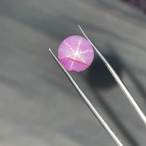 May include: A round, pink gemstone with a star-like pattern, held by silver tweezers. The gem has a polished surface and a vibrant colour, showcasing a six-rayed star effect. The background is a blurred grey.