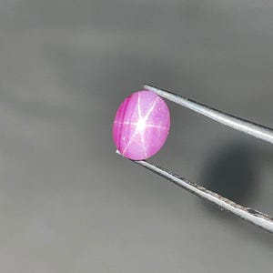 May include: A polished, oval-shaped, pink gemstone with a six-rayed star pattern. The gem is held by a pair of silver tweezers against a gray background. The star effect is caused by light reflecting off inclusions within the stone.