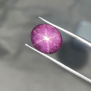 May include: A polished, oval-shaped, purplish-red gemstone, held by silver tweezers. The gem features a six-rayed star pattern across its surface. The background is a blurred, neutral gray.