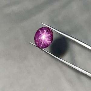 May include: A polished, oval-shaped, purplish-red star ruby gemstone. The gem is held by silver tweezers against a grey background. The star effect is visible in the centre of the stone.