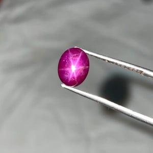 Könnte beinhalten: Ein tief magentafarbener, ovaler Sternrubin-Edelstein mit einem ausgeprägten sechsstrahligen Sternmuster, das Licht aus seiner Mitte reflektiert. Der im Cabochon-Schliff geschliffene Stein wird von einer silberfarbenen Metallpinzette gehalten.