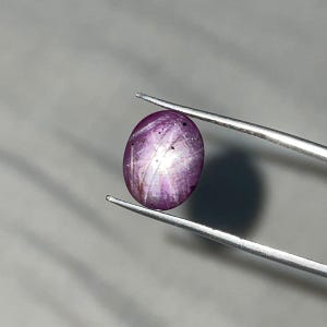May include: An oval-shaped cabochon star ruby gemstone with a deep purplish-red hue. The stone displays a distinct six-rayed asterism effect, characterized by a bright white star pattern radiating from the center across the polished surface.