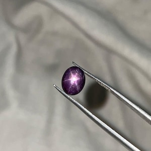 May include: A deep purple star ruby gemstone, held by silver tweezers. The oval-shaped stone displays a six-rayed star pattern. The gem is set against a soft, neutral background.