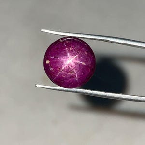 Op de afbeelding: Een ronde, gepolijste robijn edelsteen, vastgehouden door een pincet. De edelsteen is diep magenta van kleur met een zesstralig sterreneffect zichtbaar op het oppervlak. De pincet is zilverkleurig en de achtergrond is neutraal grijs.