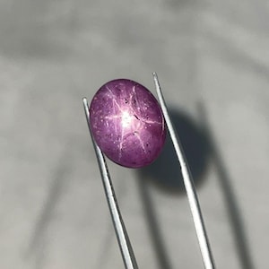 Può includere: Una gemma ovale rosso-violacea, tenuta da una pinzetta. La gemma presenta un effetto stella a sei raggi, con la luce che emana dal centro. La superficie della pietra è liscia e riflettente, evidenziando la sua bellezza naturale.