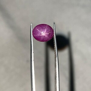 Pode incluir: Uma pedra preciosa de rubi estrela polida, em forma oval, segurada por uma pinça. O rubi é de cor vermelho-rosada profunda com um efeito de estrela de seis raios visível em sua superfície. A pinça é prateada.