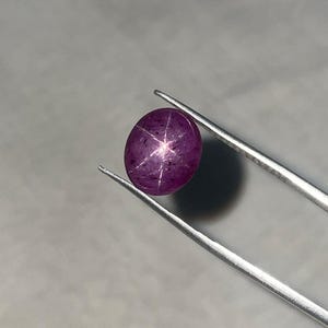 May include: A polished, oval-shaped, purplish-red gemstone, held by silver tweezers. The gem features a six-rayed star pattern across its surface. The background is a solid, neutral gray.