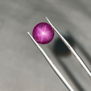 Op de afbeelding: Een ronde, gepolijste, diep magenta edelsteen met een zesstralig sterpatroon, vastgehouden door een zilveren pincet tegen een grijze achtergrond. Het oppervlak van de edelsteen reflecteert licht en toont het stereffect. Dit is waarschijnlijk een sterrobijn.