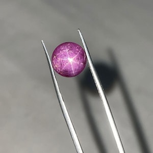 Op de afbeelding: Een ronde, gepolijste ster-robijn edelsteen, vastgehouden door een pincet. De edelsteen is diep roze-paars van kleur en heeft een zesstralig sterpatroon. De pincet is zilverkleurig en reflecteert het licht.