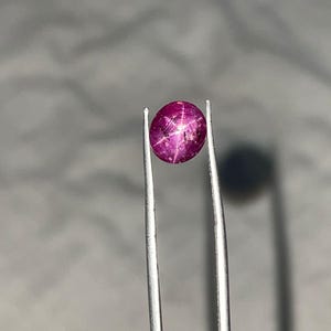 May include: A vibrant, oval-shaped ruby gemstone, held by silver tweezers. The ruby displays a deep magenta hue with a six-rayed star pattern across its surface. The gem is smooth and polished, reflecting light. A close-up shot highlights the gem's clarity and color.
