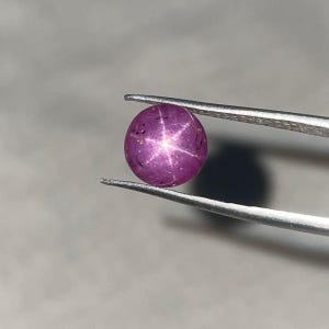 May include: A round, cabochon-cut star ruby gemstone with a deep magenta-pink hue. The stone displays a distinct six-rayed asterism effect, creating a bright white star pattern across its surface. The gemstone is held by silver-toned metal tweezers.