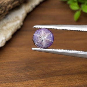May include: A round, cabochon-cut purple star sapphire gemstone held by silver-toned metal tweezers. The stone displays a distinct six-rayed white star pattern across its polished, translucent surface, reflecting light from a central point.