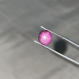 Pode incluir: Uma gema rosa ovalada polida, com um padrão de estrela de seis raios. Segurada por pinças prateadas sobre um fundo cinza. A superfície da gema reflete a luz, destacando o seu efeito de estrela. Possivelmente um rubi.