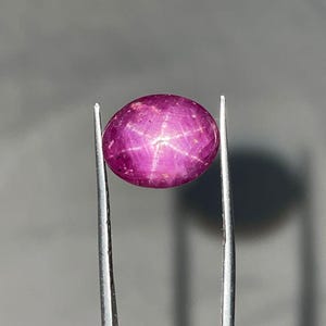 May include: A purplish-red gemstone, held by tweezers, with a six-rayed star pattern. The gem is a cabochon cut, with a smooth, rounded top. The tweezers are silver-coloured.
