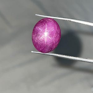 Può includere: Una gemma di rubino di forma ovale, tenuta da una pinzetta. La gemma è di un colore rosso-rosato intenso, con un effetto stella a sei raggi visibile sulla sua superficie. Lo sfondo è grigio neutro.