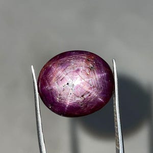 Peut inclure: Une pierre précieuse ronde et polie, de couleur magenta foncé, avec un effet d'étoile, tenue par une pince argentée. La gemme a une surface lisse avec un motif d'étoile visible rayonnant du centre. Le fond est gris neutre.