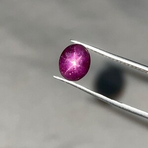 Op de afbeelding: Een diep magenta ovaalvormige sterrobijn edelsteen met een duidelijk zesstralig sterpatroon op het oppervlak. De cabochon geslepen steen wordt vastgehouden door een zilverkleurige metalen pincet en toont een gladde, gepolijste en reflecterende textuur.