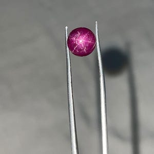 Könnte beinhalten: Ein runder, polierter Rubin-Edelstein, gehalten von einer Pinzette. Der Edelstein hat eine tiefe, satte rote Farbe und zeigt einen sechsstrahligen Sterneneffekt. Die Pinzette ist silberfarben, der Hintergrund ist neutralgrau.