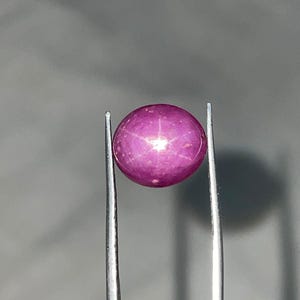 Puede incluir: Una gema de rubí estrella pulida, redonda y de color rojo púrpura, se sujeta con unas pinzas. La gema muestra un patrón de estrella de seis rayos en su superficie. El fondo es gris neutro.