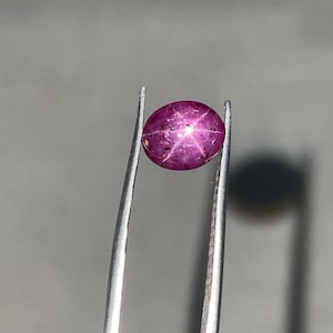 Puede incluir: Una gema de rubí estrella redonda, pulida, de color rojo púrpura, sostenida por unas pinzas. La gema muestra un patrón de estrella de seis rayos en su superficie. Las pinzas son plateadas y el fondo es gris neutro.