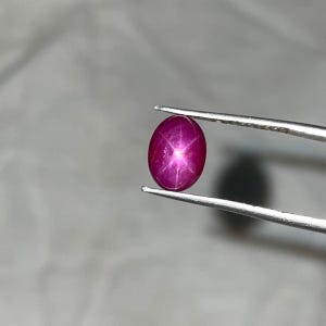Könnte beinhalten: Ein ovaler, tief magentafarbener Sternrubin-Edelstein, der von einer silberfarbenen Metallpinzette gehalten wird. Der im Cabochon-Schliff geschliffene Stein zeigt einen ausgeprägten sechsstrahligen Sterneffekt, bekannt als Asterismus.