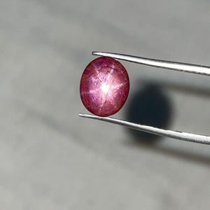 Pode incluir: Uma gema de rubi estrela polida, em forma oval. O rubi é segurado por uma pinça, mostrando sua cor vermelha profunda e um efeito de estrela proeminente em sua superfície. A gema está sobre um fundo cinza neutro.