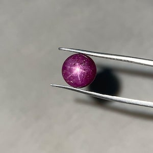 Puede incluir: Una gema de rubí estrella redonda y pulida, sujeta con unas pinzas. El rubí es de color rojo púrpura intenso con un efecto de estrella de seis rayos visible en su superficie. Las pinzas son de color plateado y el fondo es gris neutro.