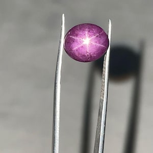 May include: A polished, purplish-red gemstone, held by silver tweezers. The gem has a six-rayed star pattern. The background is a blurred grey. The gem is approximately 1.5 cm in diameter.