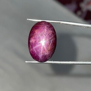 Peut inclure: Une pierre précieuse de rubis ovale polie, tenue par une pince. La pierre est d'un rouge-violet profond avec un effet d'étoile à six rayons visible à sa surface. La pierre est lisse et réfléchit la lumière.