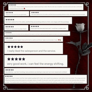 May include: A collection of customer reviews displayed in white rectangular boxes against a dark red background, featuring five-star ratings and text testimonials. A single black and white rose is positioned vertically on the right side of the image.