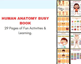 Human Anatomy Coloring Book, Anatomy Study Aid, Body Systems Coloring, Medical Coloring Book, Anatomy Coloring Pages, Instant Download