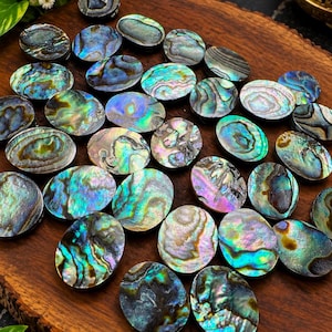 Skimrande Paua Abalone Shell Cabochons, Oceaniska Ädelstenar (11 x 9 mm)