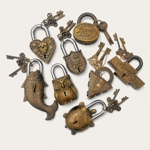 May include: A collection of antique-style brass padlocks with silver-toned shackles, featuring various shapes including a skull heart, a fish, an owl, a turtle, a triangle, a shield with a crescent moon, and branded Ford and Chevrolet designs.