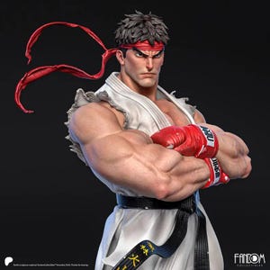 Red Band Fighter – 30cm Martial Arts Master Figure | Painted / Unpainted | Fandom Design