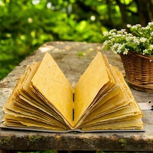 May include: An open, handmade journal with yellowed pages rests on a weathered wooden surface. A woven basket filled with white flowers sits nearby. The background is a blurred green, suggesting an outdoor setting.