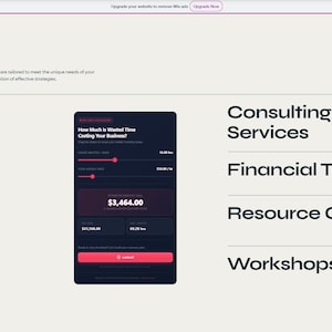 May include: A website screenshot with the title "Solutions" and a section titled "Why Choose Us". The page features a dark-themed financial calculator and a list of services: Consulting, Financial Tools, Resource Centre, and Workshops.