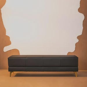 Bench with Full Grain Leather Upholstered Cushion