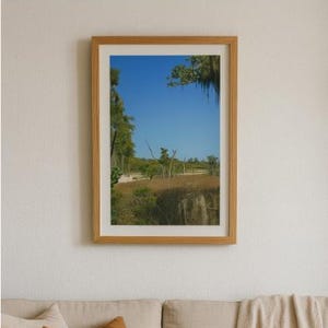 Spanish Moss Landscape Print: Southern Wetlands Photography (Digital Download