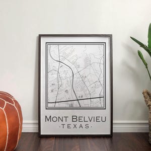 Carte du Mont Belvieu, Texas [Téléchargement numérique]