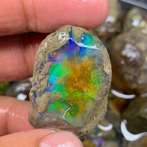Puede incluir: Una piedra preciosa de ópalo en bruto, sin cortar, con una vibrante exhibición de color. La piedra exhibe una mezcla de azules, verdes y amarillos, con una matriz marrón. El ópalo se sostiene en una mano, mostrando su belleza natural.