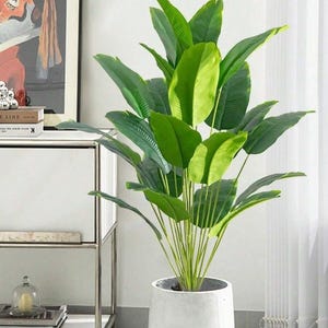 Könnte beinhalten: Eine große, künstliche Pflanze mit breiten, grünen Blättern in einem weißen, abgerundeten Topf. Die Pflanze hat mehrere Stiele und ein volles, üppiges Aussehen, das der Inneneinrichtung eine lebendige Note verleiht. Der Topf ist glatt und schlicht und ergänzt das natürliche Aussehen der Pflanze.