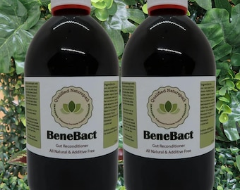 BeneBact - All Natural Additive Free - Probiotic Gut Reconditioner - 525ml/1050ml (2x525ml) - In Glass Bottles
