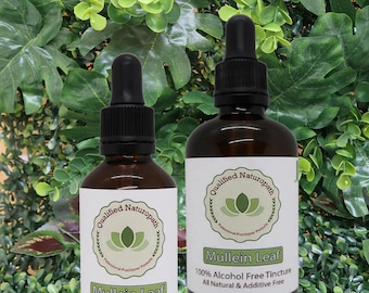 Mullein Leaf Herbal Tincture (Alcohol & Glycerin Free) 60ml/110ml – In Glass Bottles