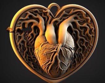 Archivos para impresora 3D, máquina CNC, archivos para tallado de madera, enrutador CNC, STL para impresión, STL para CNC, modelo anatómico de corazón 3D, modelo de corazón 3D, impresión digital