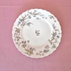 May include: White ceramic plate with a scalloped edge, adorned with a delicate floral pattern in shades of blue, green, and purple. The plate has a central floral motif and is set against a pink background.