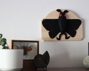 Pinned Mothman Vegan Entomology Faux Pinned Insect Taxidermy