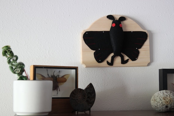 Pinned Mothman Vegan Entomology Faux Pinned Insect Taxidermy